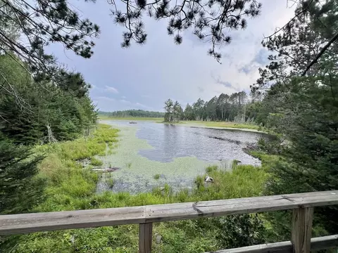 tbd Haley Rd, Beatty Twp, MN 55771