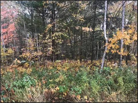 lot113 162nd Ave, Balsam Lake, WI 54810