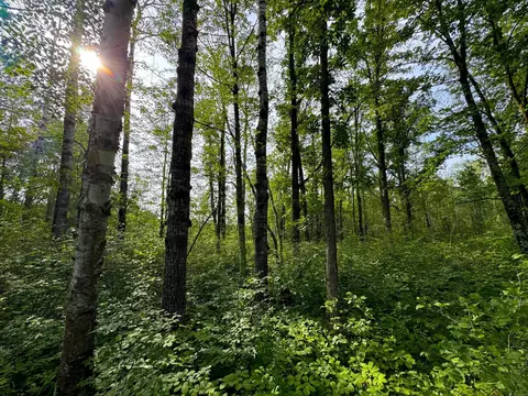 Nnnn 170th Pl, Mcgregor, MN 55760 photo 6