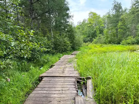 Nnnn 170th Pl, Mcgregor, MN 55760 photo 34