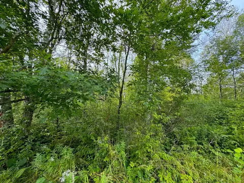 Nnnn 170th Pl, Mcgregor, MN 55760 photo 30