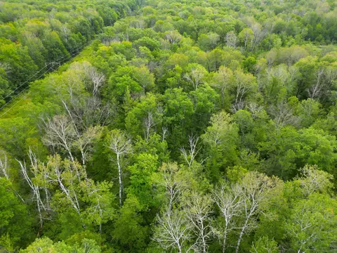 Nnnn 170th Pl, Mcgregor, MN 55760 photo 25