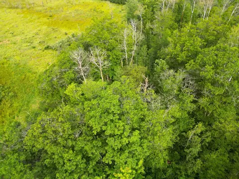 Nnnn 170th Pl, Mcgregor, MN 55760 photo 18