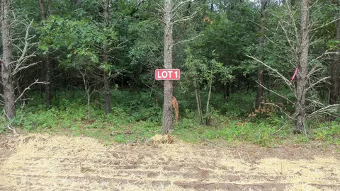 lot1 Bur Oak Trl, Grantsburg, WI 54840