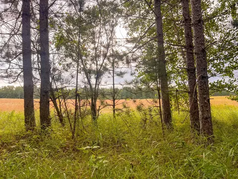 tbd 189th Ave, Bemidji, MN 56601 photo 14