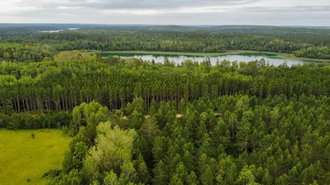 tbd 189th Ave, Bemidji, MN 56601 photo 13