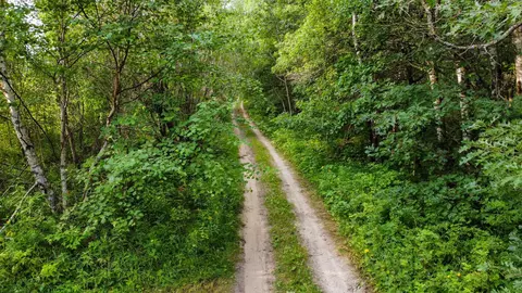 tbd 189th Ave, Bemidji, MN 56601 photo 6