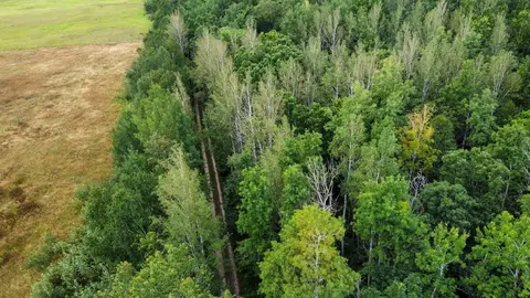 tbd 189th Ave, Bemidji, MN 56601 photo 7