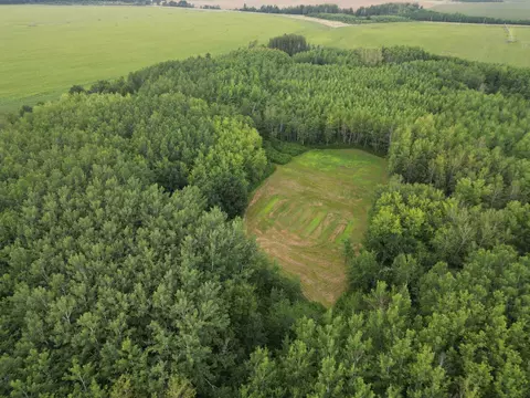 tbd 364th St, Menahga, MN 56464