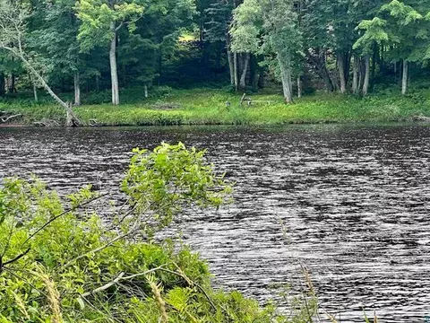 Nnn Trcka, Weirgor Twp, WI 54867