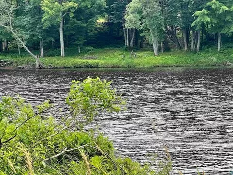 Nnn Chippewa Tr, Exeland, WI 54867