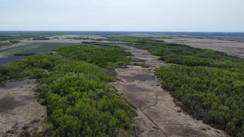 tbd 150th Ave, Newfolden, MN 56738