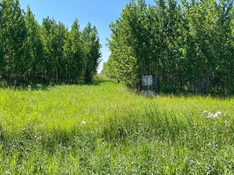 tbd 380th Ave NE, Star Twp, MN 56725