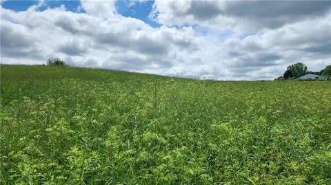 lot10 270th St, Boyceville, WI 54725
