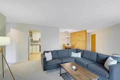 5420 Three Points Blvd #232, Mound, MN 55364 photo 3