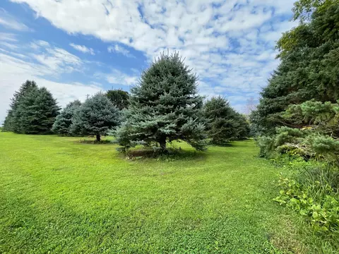25366 200th St, Reading, MN 56165 photo 37