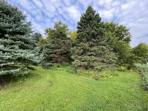 25366 200th St, Reading, MN 56165 photo 38