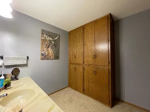 25366 200th St, Reading, MN 56165 photo 16