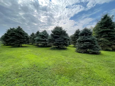 25366 200th St, Reading, MN 56165 photo 35