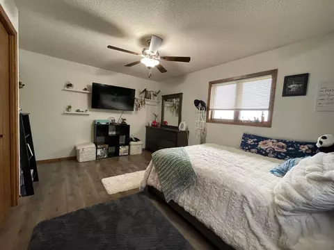 25366 200th St, Reading, MN 56165 photo 14