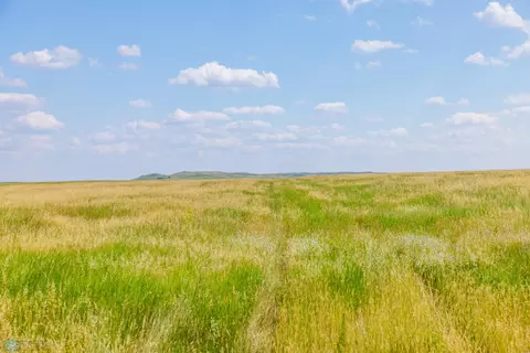 tbd 57 SW, Leith, ND 58529 photo 4
