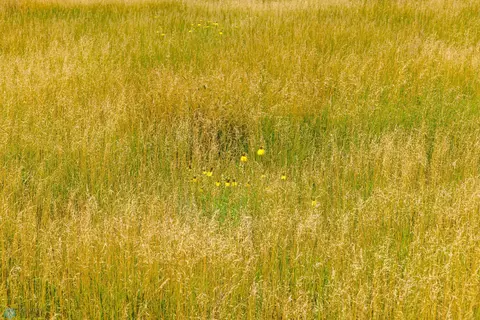 tbd 57 SW, Leith, ND 58529 photo 10