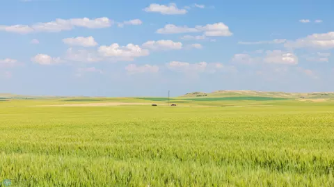 tbd 57 SW, Leith, ND 58529 photo 40