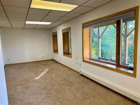 244 E Anoka St, Duluth, MN 55803 photo 32