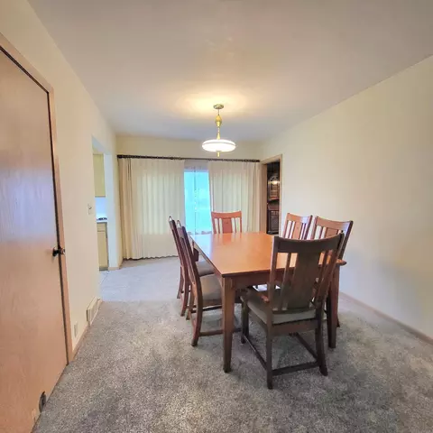 205 Prairie St N, Comfrey, MN 56019 photo 18