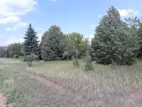 155 Nnn Halsey Ave, Carver, MN 55315