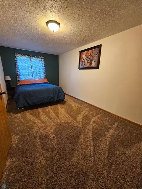 1008 5th St SE, Barnesville, MN 56514 photo 35