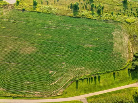 0000 Dala Pl, Mora, MN 55051 photo 7