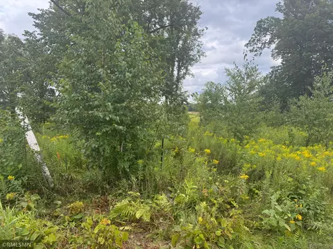 2782 Keystone St, Peace Twp, MN 55051 photo 6