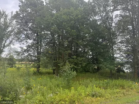 2782 Keystone St, Peace Twp, MN 55051 photo 9