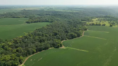 tbd 310th St, Pilot Mound Twp, MN 55949