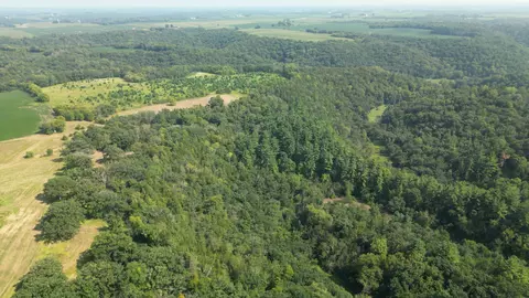 Nnn 310th Street, Pilot Mound Twp, MN 55949