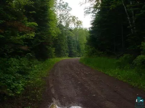 22 Nn Kane Lake Rd, Silver Creek Twp, MN 55616