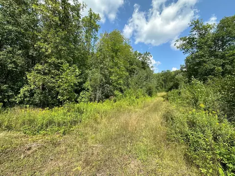 54597 United Country Ct, Sandstone, MN 55072
