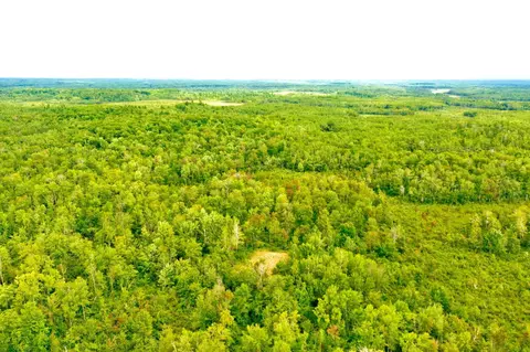 60115 Rutabaga Rd, New Dosey Twp, MN 55072