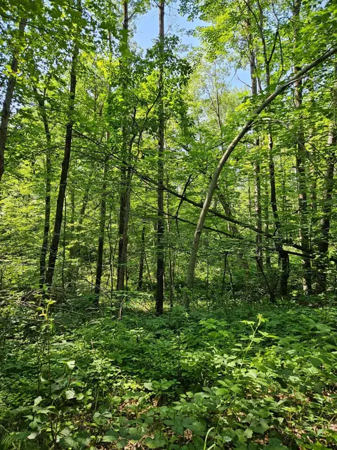 lot40 Summit Ridge Dr, Breezy Point, MN 56472