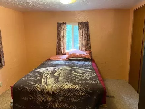 24749 County Road 52, Bigfork, MN 56628 photo 10