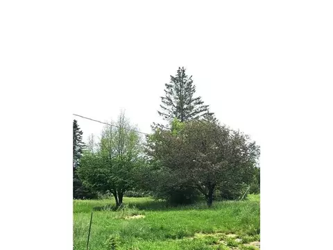 1484 Tamarack Lake Rd, Wright, MN 55798 photo 14