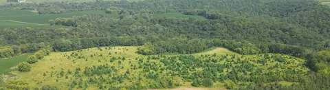 31004 Grouse Rd, Pilot Mound Twp, MN 55949