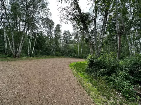 tbd Blackbird Trl, Nevis, MN 56467
