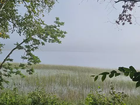36441 County Highway 34, Ogema, MN 56569