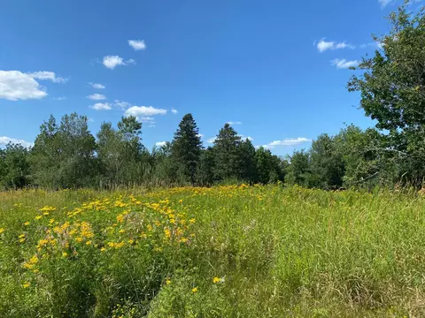 lot7 Jon Brown Dr, Moose Lake, MN 55767