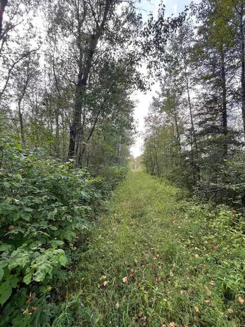 Nnn Us Highway 53 Highway, International Falls, MN 56649