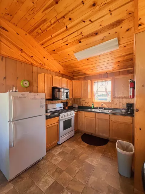 35686 Rush Lake Loop #1, Ottertail, MN 56571 photo 2
