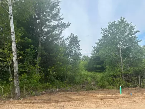 lot12 Blk 1 Brummer Dr, Randall, MN 56475