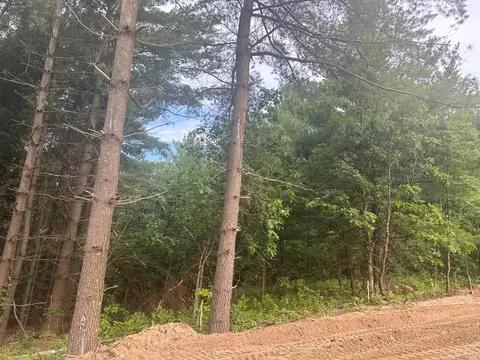 lot9 Blk 1 Brummer Dr, Randall, MN 56475